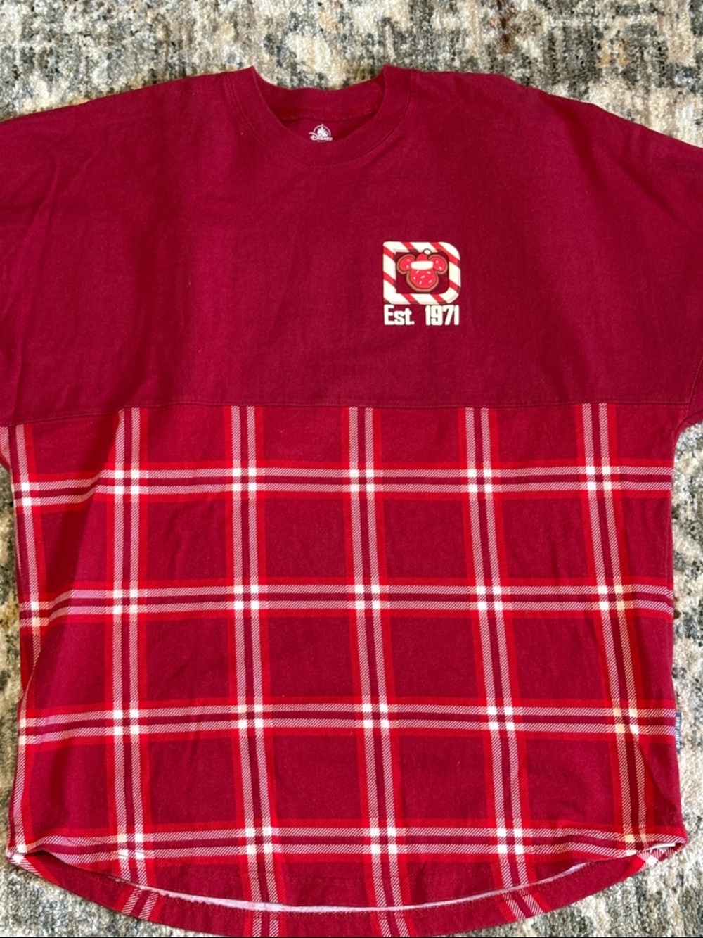 Disney World Red Plaid Holiday Spirit Jersey